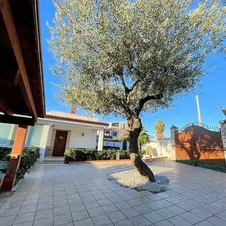 Ciachea - Accogliente Con Bbq, Giardino E Parcheggio , A Due Passi Da Palermo & Aereoporto Casa vacanze *